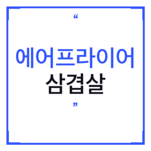 에어프라이어 삼겹살 추천 — 더블히팅 듀얼플레이트 에어프라이기 오 대신 쓰는 이유 (2026)