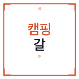 캠핑 갈 때 짐 정리가 이렇게 편해질 수 있다고? – 가스통 보관 가방 솔직 후기