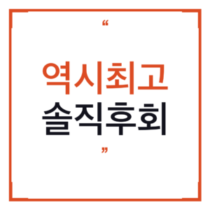 캠핑용품 가스통 보관가방, 알리에서 사서 3주 써본 솔직 후기 (2026)