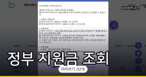 나에게 맞는 정부 지원금 한번에 조회하는 방법 (복지로)