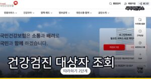 국가건강검진 대상자 조회 방법 (올해 검진 대상인지 확인)