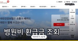 병원비 환급금 조회 방법 (본인부담상한제 — 몰라서 못 받는 돈)