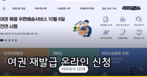 여권 온라인 재발급 신청 방법 (외교부, 사진 규격까지)
